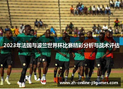 2023年法国与波兰世界杯比赛精彩分析与战术评估