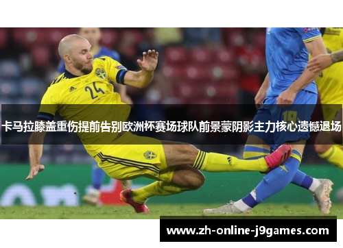 卡马拉膝盖重伤提前告别欧洲杯赛场球队前景蒙阴影主力核心遗憾退场